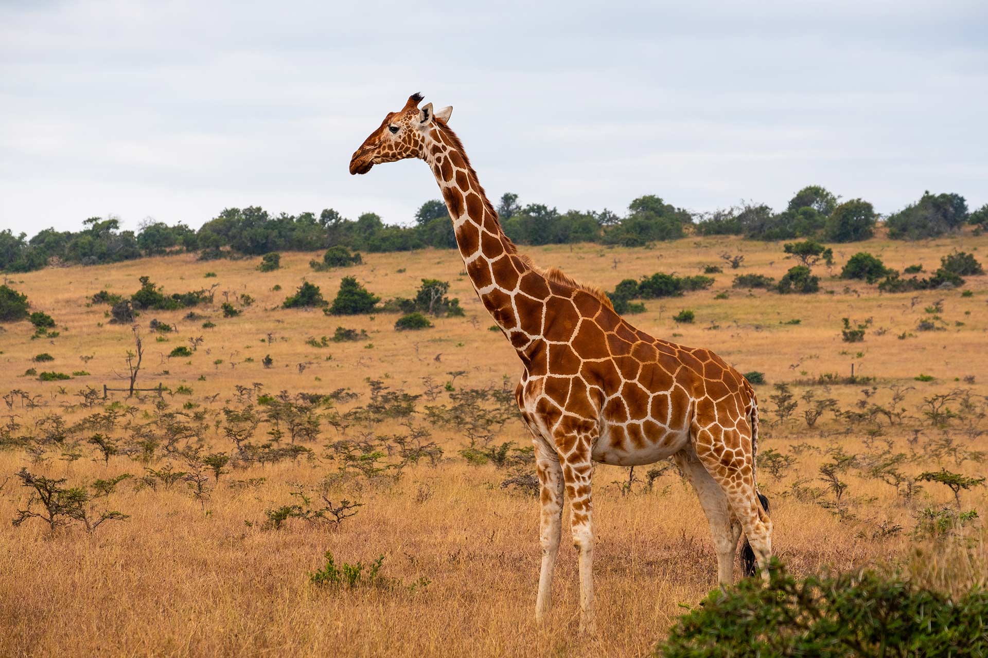 Must-See Landmarks