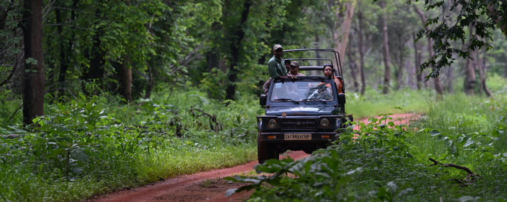 Pench National Park – The Land of Mowgli