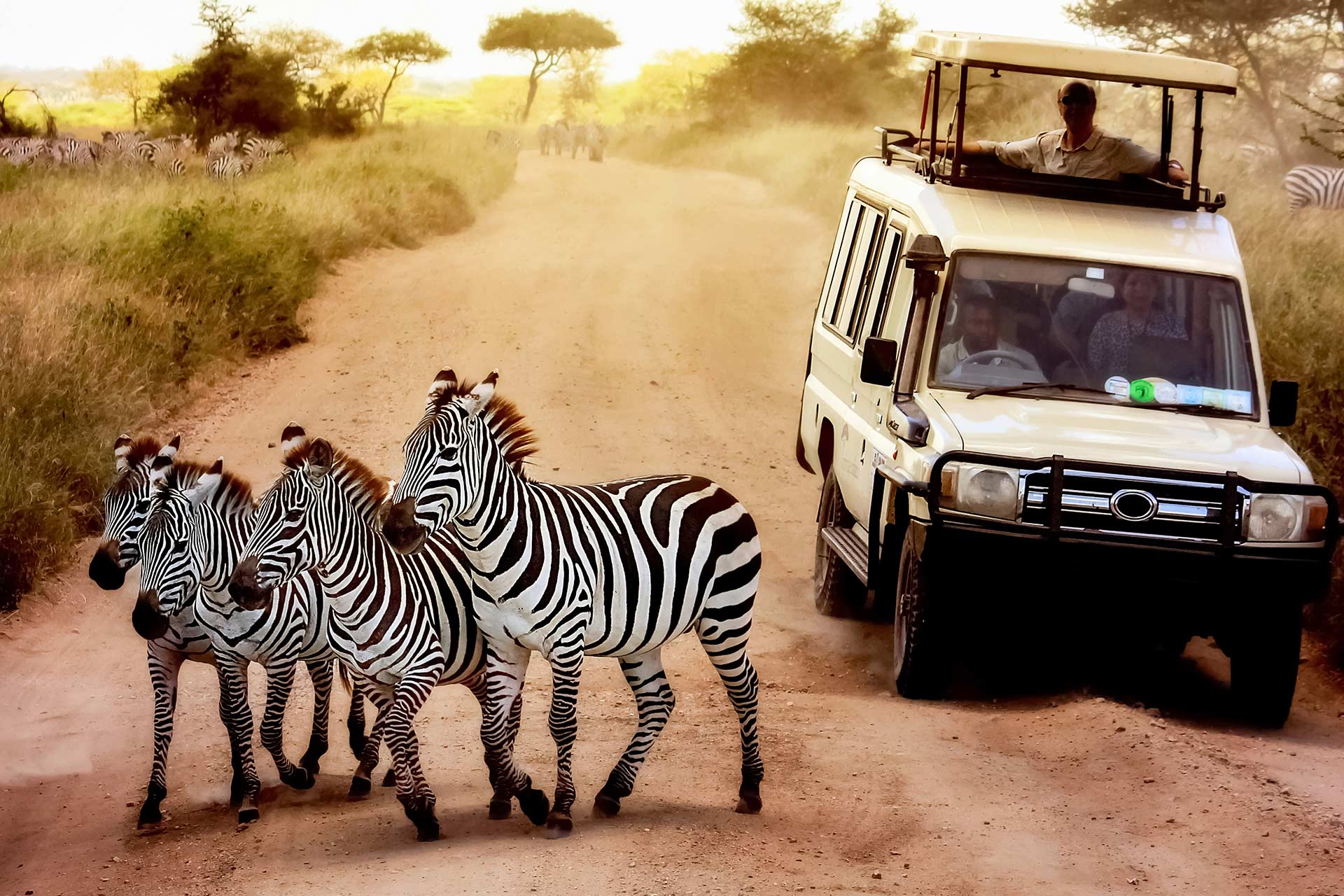 Wildlife slider image 2