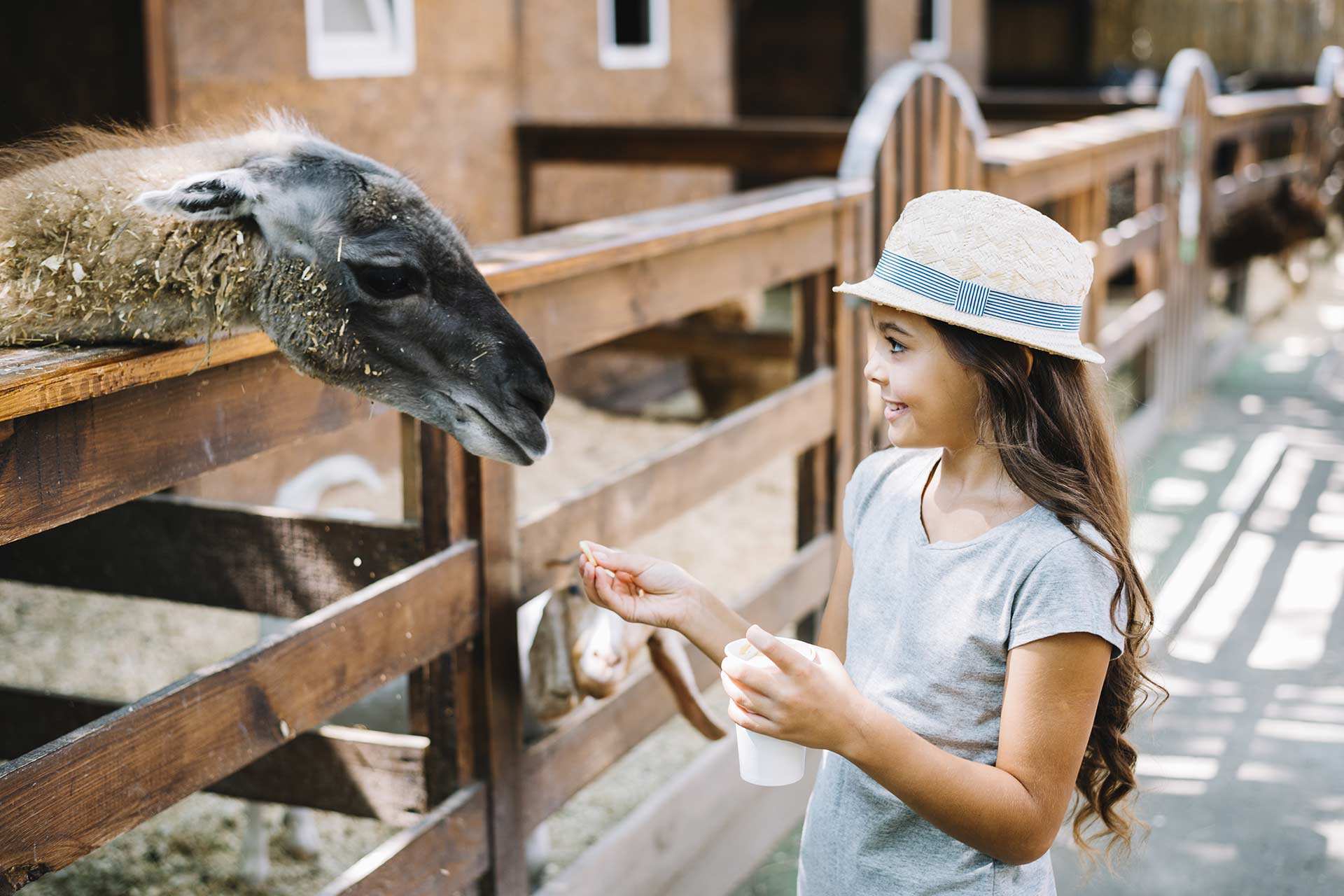 Young traveler meeting an animal